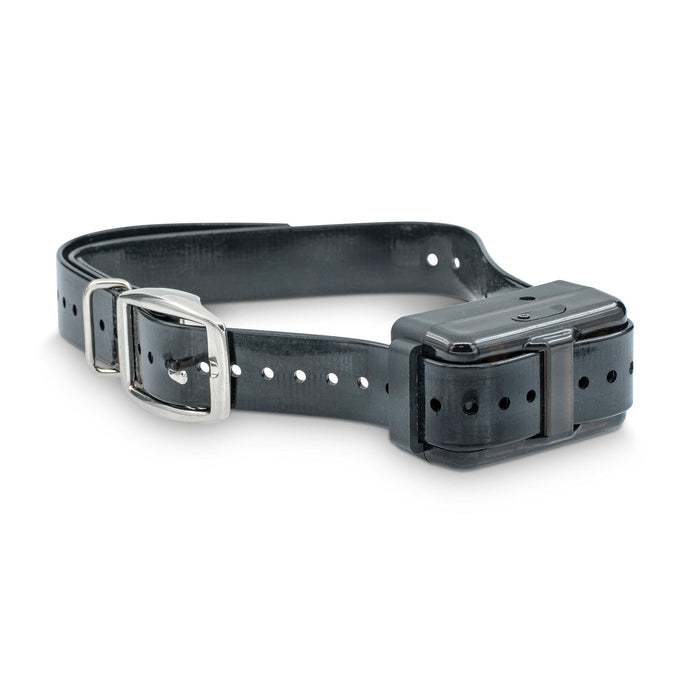 pet control hq extra collar for remote hunting dog trainer