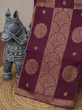 Banarasi Raw Silk Saree | TTDS3470