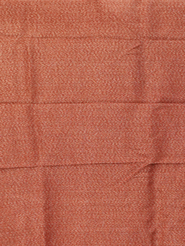 Banarasi Raw Silk Saree | TTDS3470