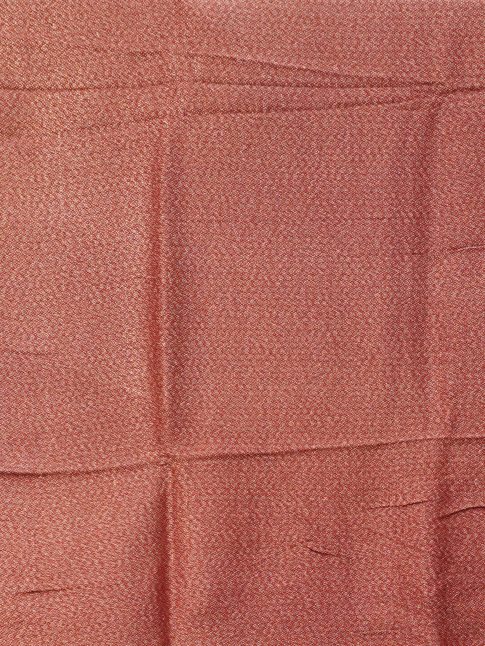 Banarasi Raw Silk Saree | TTDS3470
