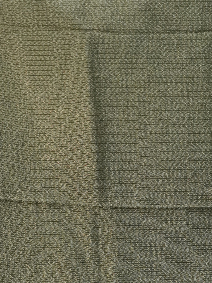 Banarasi Raw Silk Saree | TTDS3472