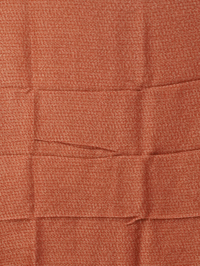 Banarasi Raw Silk Saree | TTDS3474