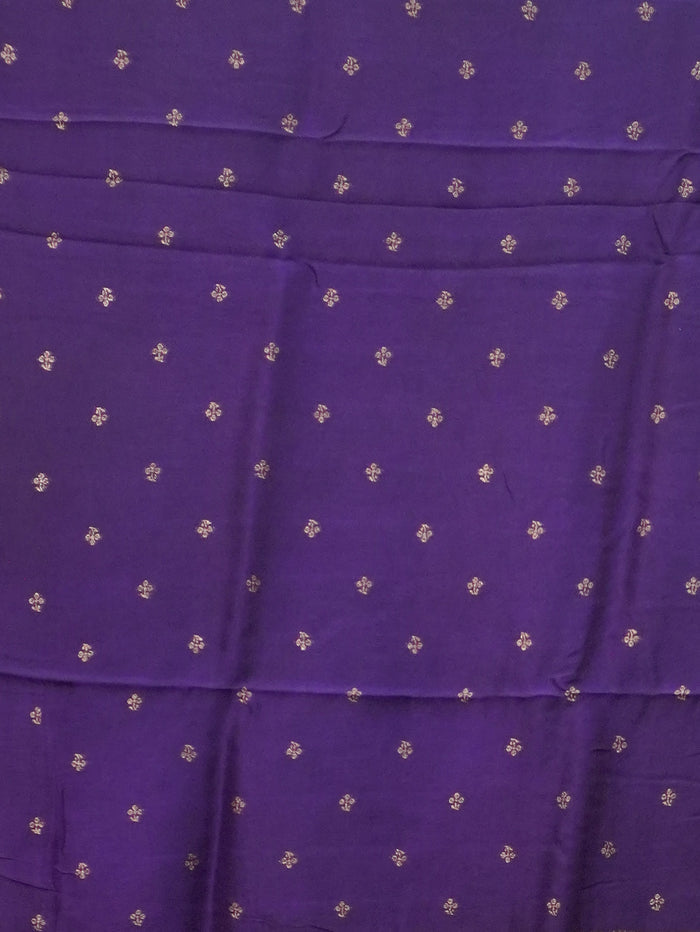 Banarasi Raw Silk Saree | TTDS3476
