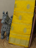 Chanderi Silk Cotton Saree | TTDS3454