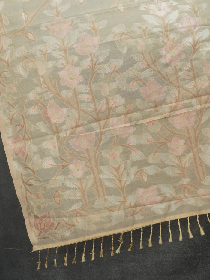 Chanderi Silk Cotton Saree | TTDS3517