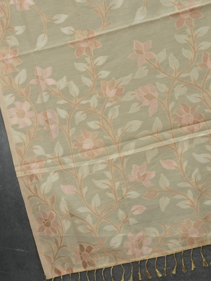Chanderi Silk Cotton Saree | TTDS3519