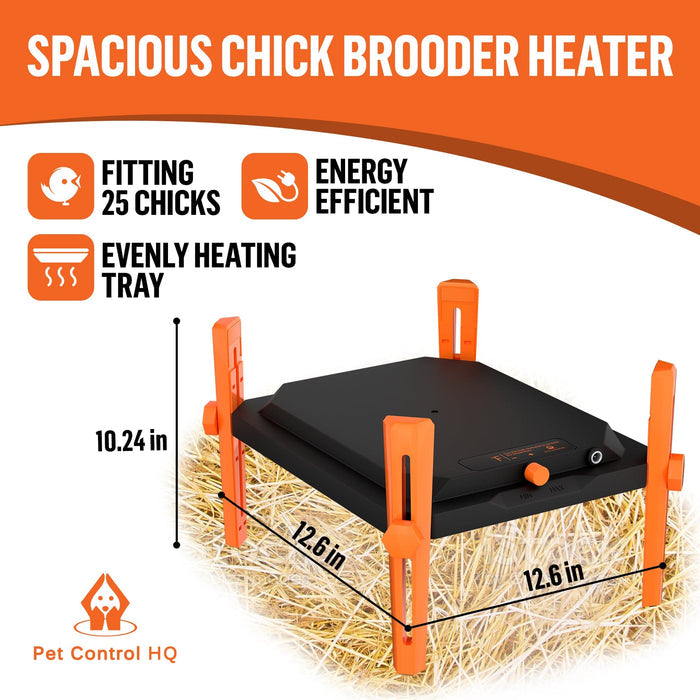 chicken brooder