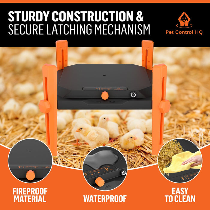 chicken brooder