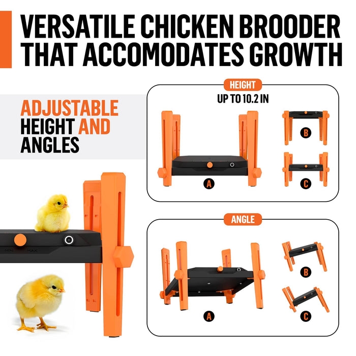 chicken brooder