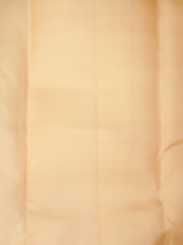 Designer Kanchivaram Silk Saree | TTDS3239