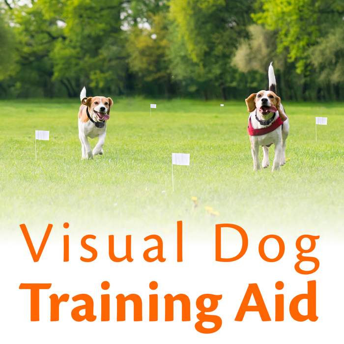 training flags electric dog fence system