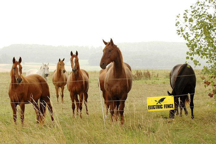 electric fence warning signs pack of 5