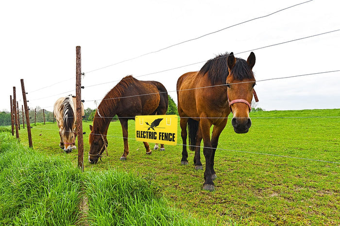 electric fence warning signs pack of 5