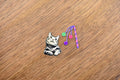 American Shorthair