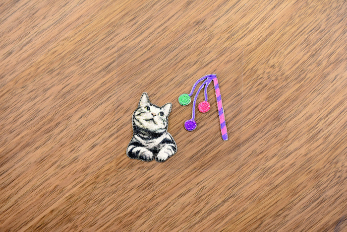 American Shorthair