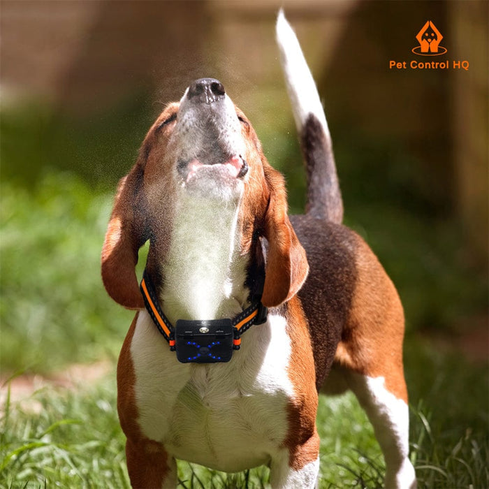 pet control hq extra collar for remote citronella anti bark spray dog trainer