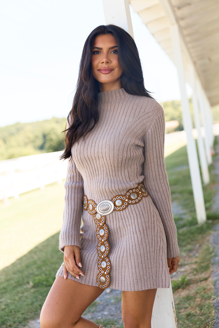 Fall Feels Mushroom Mock Neck Sweater Dress