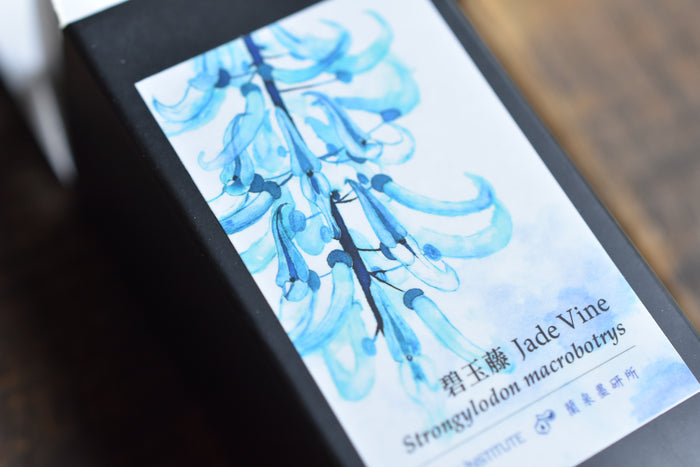 Ink Institute Meander Series - Jade Vine