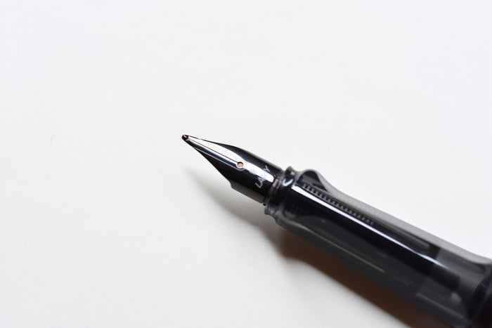 LAMY Lx Fountain Pen - Ruthenium