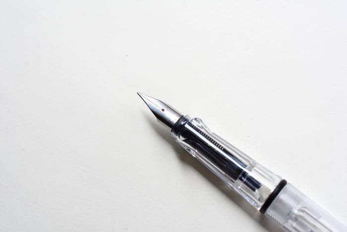 LAMY Vista Fountain Pen