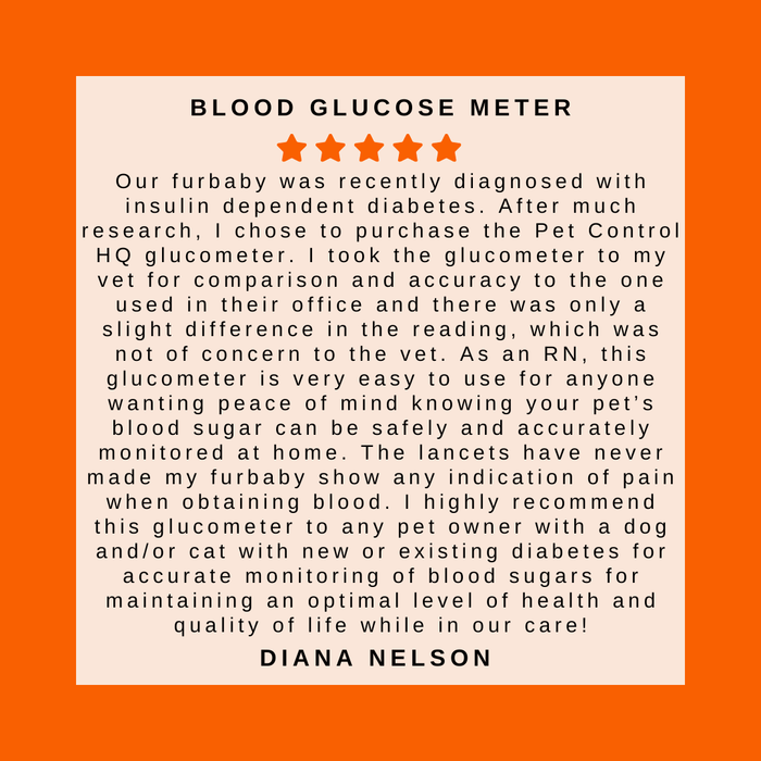 lancets for the pet blood glucose meter