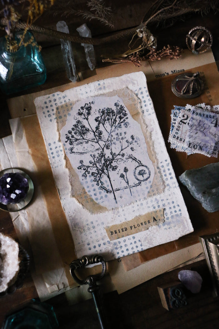 LCN Dried Flower Stamp Set A