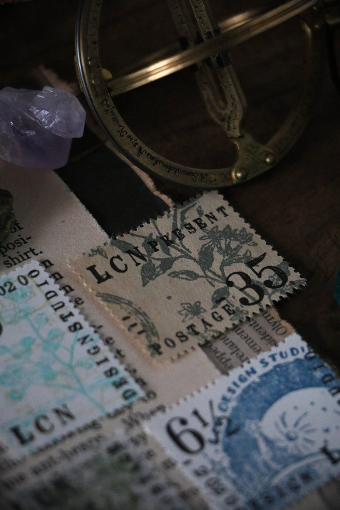 LCN Dried Flower Stamp Set B