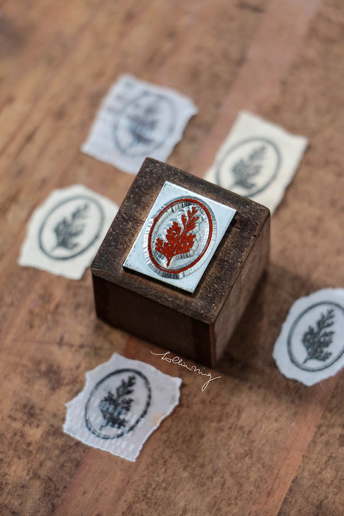 LCN Fern Specimen Metal Stamp - Common Wedgelet Fern (Ellipse)