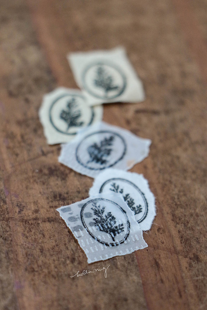 LCN Fern Specimen Metal Stamp - Common Wedgelet Fern (Ellipse)