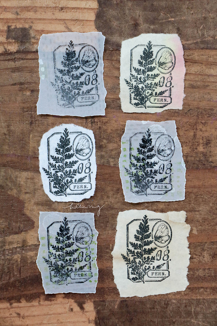 LCN Fern Specimen Metal Stamp - No. 8