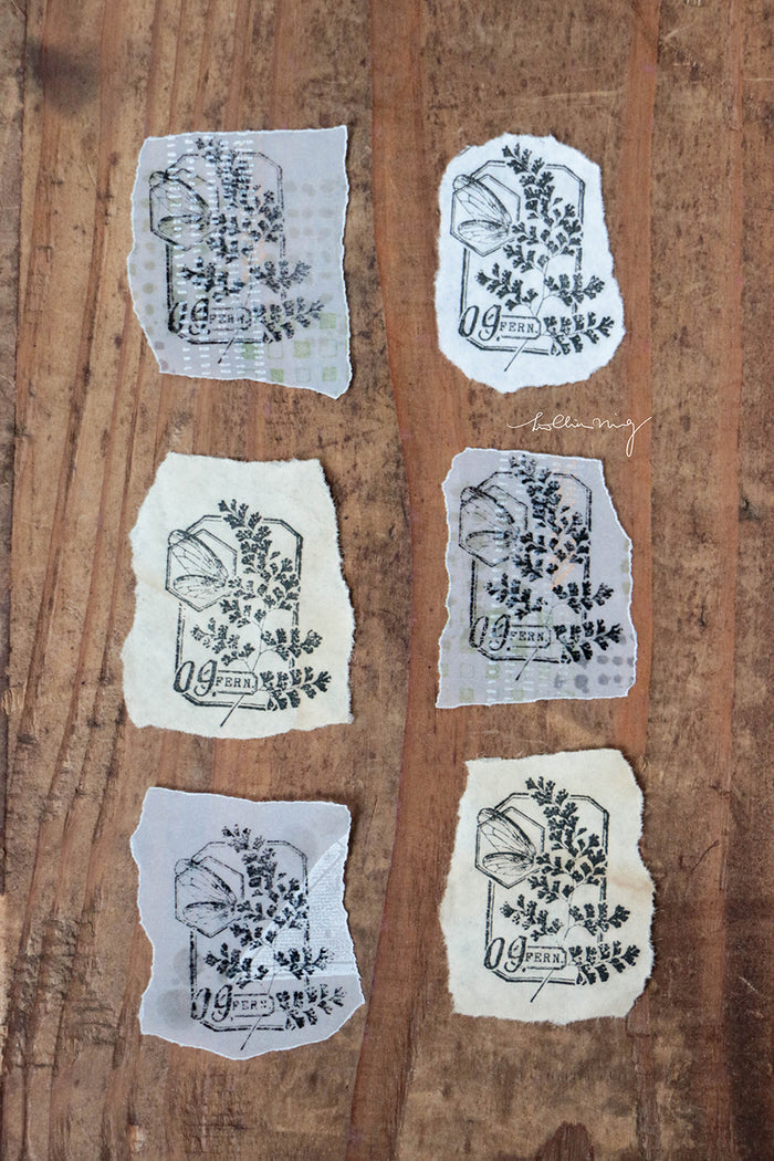 LCN Fern Specimen Metal Stamp - No. 9