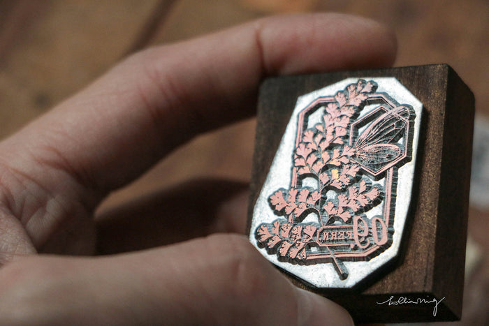LCN Fern Specimen Metal Stamp - No. 9