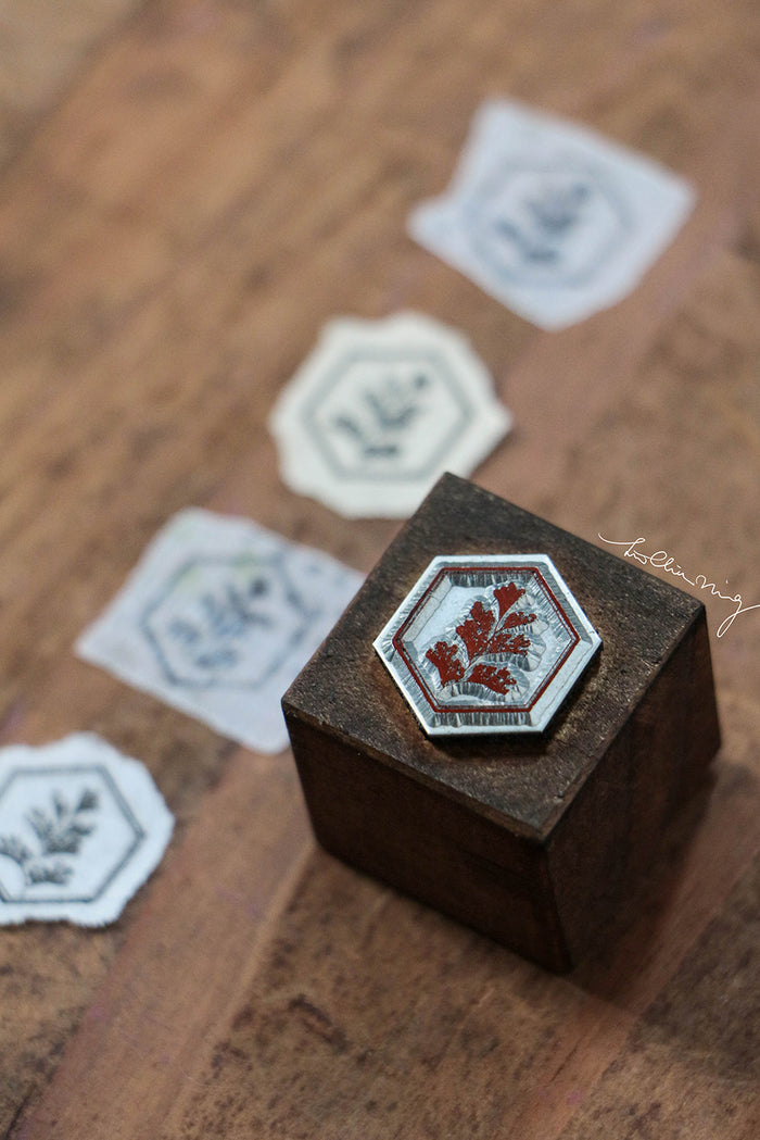 LCN Fern Specimen Metal Stamp - Southern Maidenhair Fern (Hexagon)