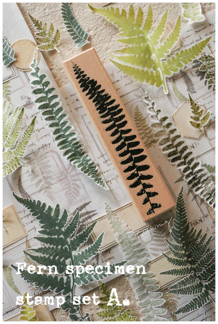 LCN Fern Specimen Stamp Set A