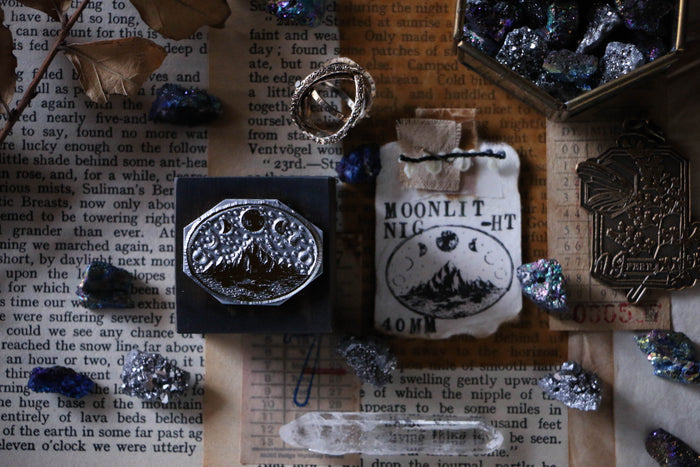 LCN Moonlit Night Metal Stamp
