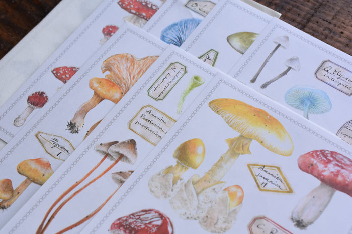 LCN Stickers - Fungus