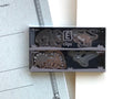 Midori Etching Clip E Clips - Dinosaur