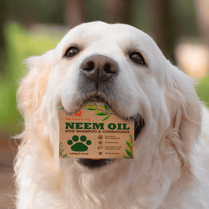 dog shampoo conditioner