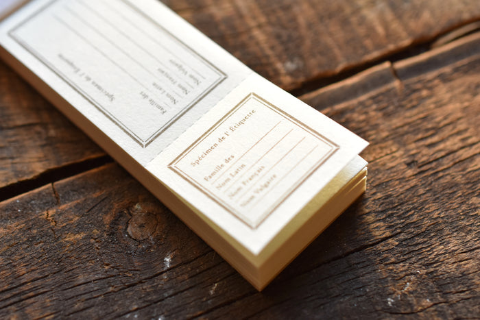 OURS x Hank Specimen Letterpress Label Book