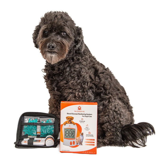 blood glucose meter monitor dog cat diabetes