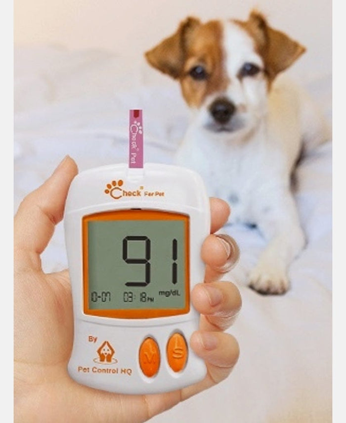 blood glucose meter monitor test strips lancets