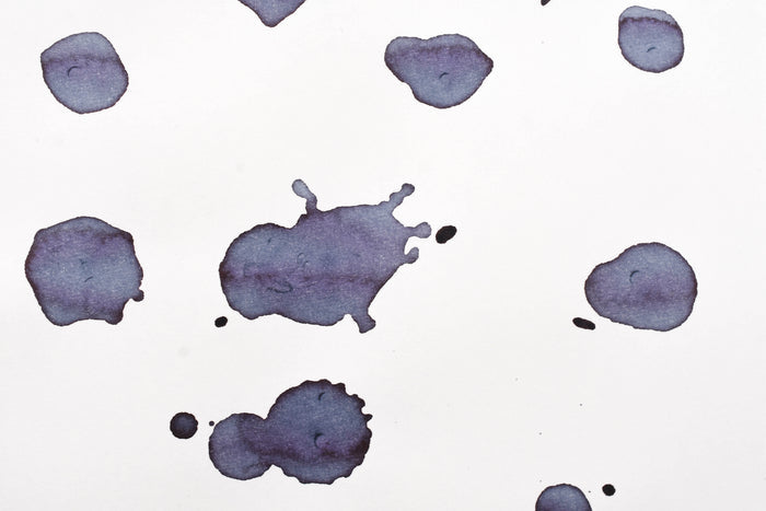 Pilot Iroshizuku Ink - Fuyu-syogun - 50 mL Bottle Ink