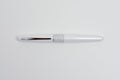 Pilot MR Metropolitan Fountain Pen - White Tiger