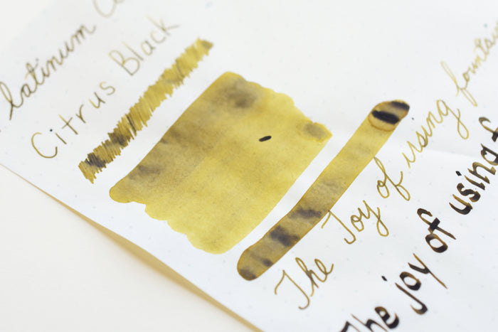 Platinum Classic Ink - Citrus Black