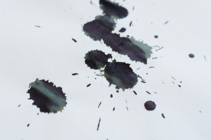 Platinum Classic Ink - Forest Black