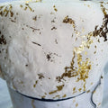 Plush Throws - Brocade