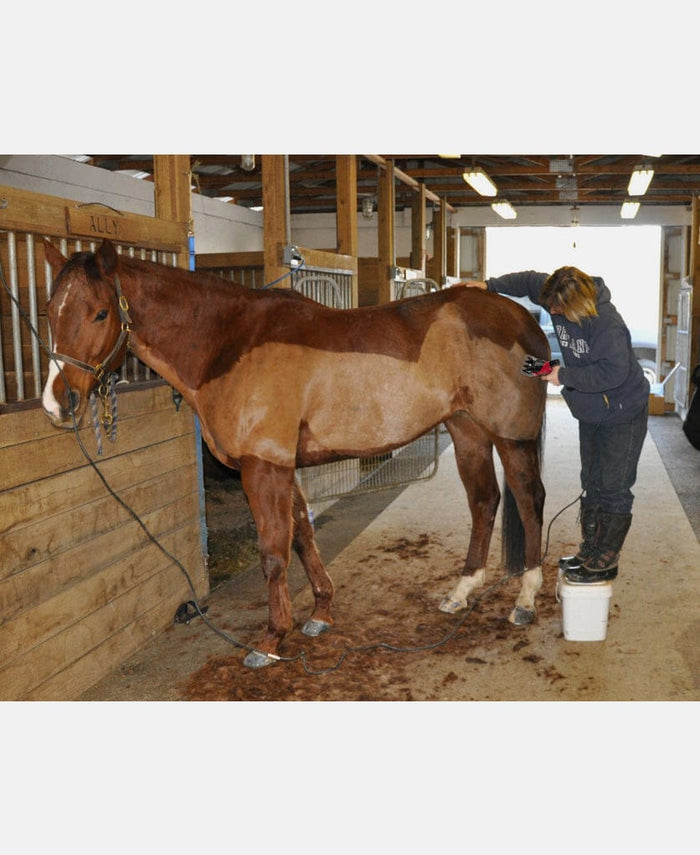 new 350w electric horse clipper grooming shears