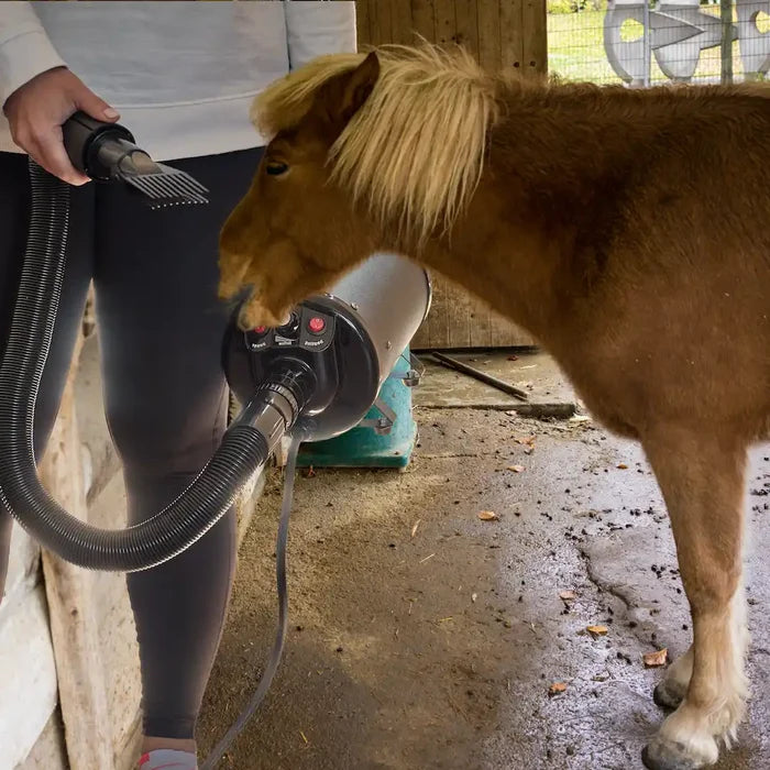 professional horse grooming hairdryer blower 2800w