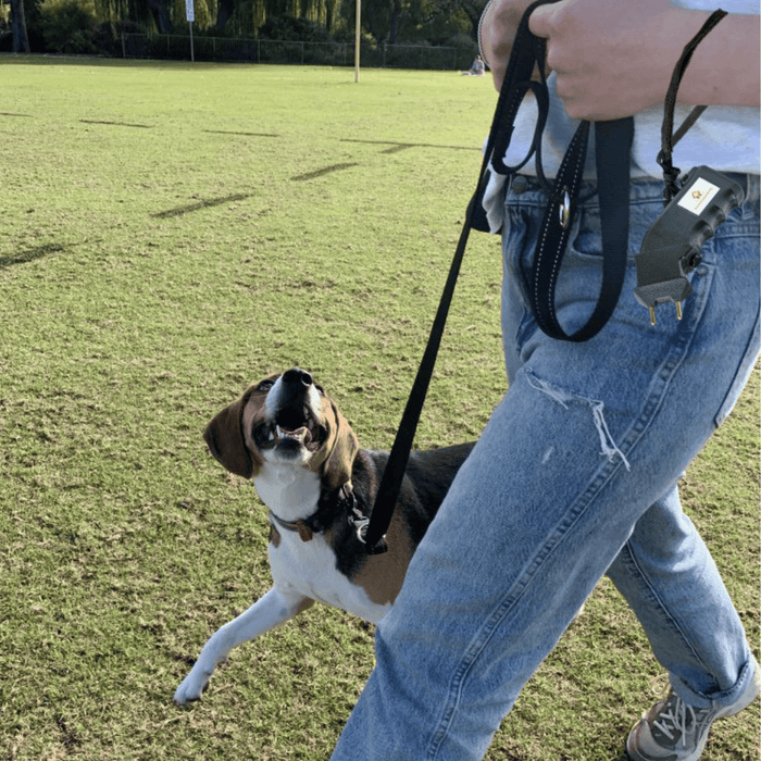 Protection Prodder Against Aggressive Dogs - Handheld Prod