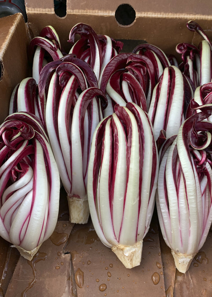 Red and white striped radicchio in a cardboard box